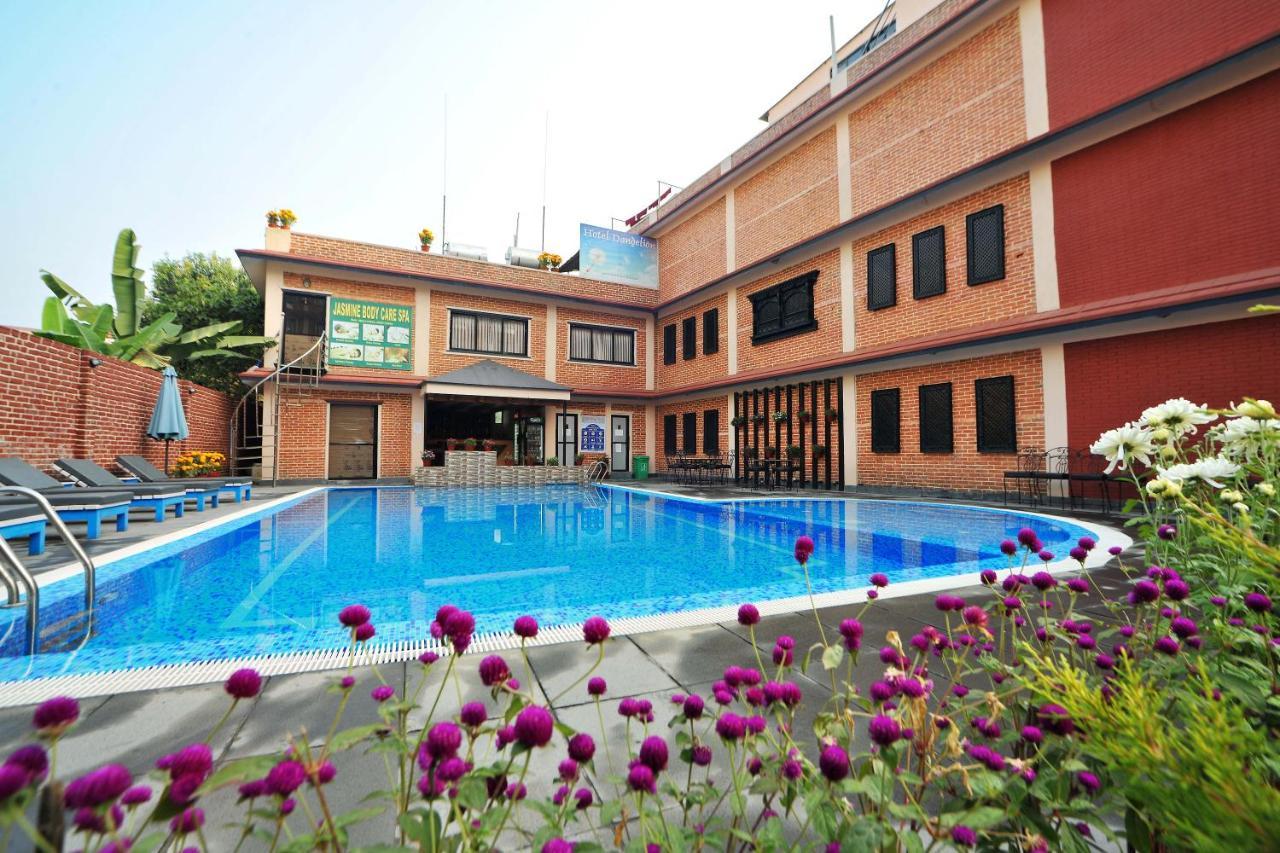 Hotel Dandelion Покхара Экстерьер фото